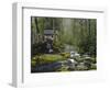 Watermill in Forest by Stream, Roaring Fork, Great Smoky Mountains National Park, Tennessee, USA-Adam Jones-Framed Photographic Print