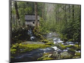 Watermill in Forest by Stream, Roaring Fork, Great Smoky Mountains National Park, Tennessee, USA-Adam Jones-Mounted Photographic Print