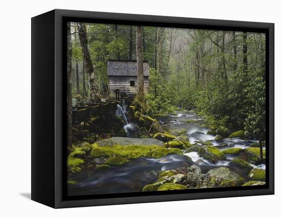 Watermill in Forest by Stream, Roaring Fork, Great Smoky Mountains National Park, Tennessee, USA-Adam Jones-Framed Stretched Canvas