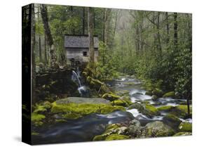 Watermill in Forest by Stream, Roaring Fork, Great Smoky Mountains National Park, Tennessee, USA-Adam Jones-Stretched Canvas