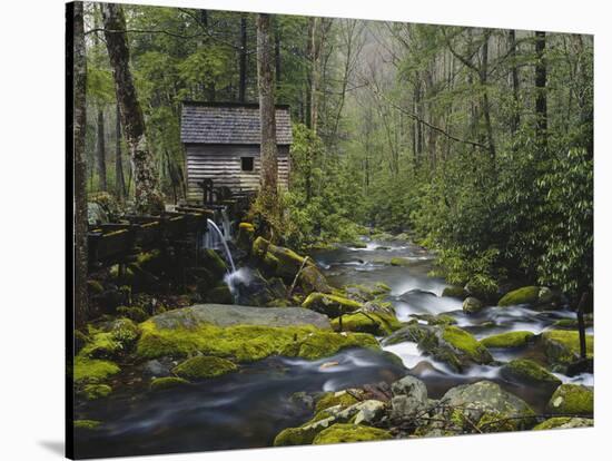 Watermill in Forest by Stream, Roaring Fork, Great Smoky Mountains National Park, Tennessee, USA-Adam Jones-Stretched Canvas