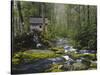 Watermill in Forest by Stream, Roaring Fork, Great Smoky Mountains National Park, Tennessee, USA-Adam Jones-Stretched Canvas