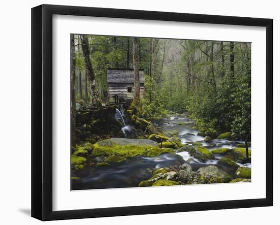 Watermill in Forest by Stream, Roaring Fork, Great Smoky Mountains National Park, Tennessee, USA-Adam Jones-Framed Premium Photographic Print