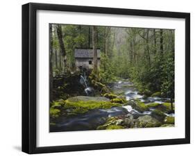 Watermill in Forest by Stream, Roaring Fork, Great Smoky Mountains National Park, Tennessee, USA-Adam Jones-Framed Premium Photographic Print