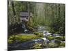 Watermill in Forest by Stream, Roaring Fork, Great Smoky Mountains National Park, Tennessee, USA-Adam Jones-Mounted Premium Photographic Print