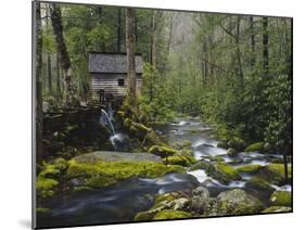 Watermill in Forest by Stream, Roaring Fork, Great Smoky Mountains National Park, Tennessee, USA-Adam Jones-Mounted Premium Photographic Print