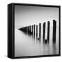 Watermiller-Craig Roberts-Framed Stretched Canvas