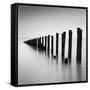 Watermiller-Craig Roberts-Framed Stretched Canvas