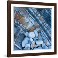 Watermonitor-Craig Roberts-Framed Photographic Print