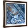 Watermonitor-Craig Roberts-Framed Photographic Print