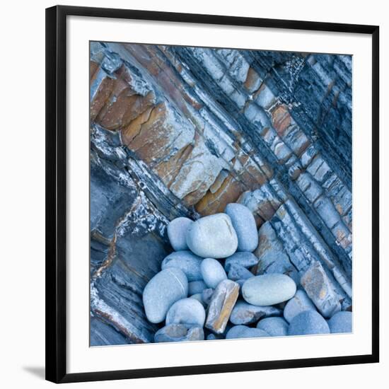 Watermonitor-Craig Roberts-Framed Photographic Print