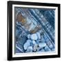 Watermonitor-Craig Roberts-Framed Photographic Print