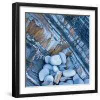 Watermonitor-Craig Roberts-Framed Photographic Print