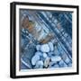 Watermonitor-Craig Roberts-Framed Photographic Print