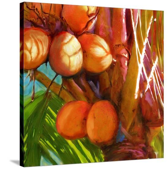 WaterPalm 01-Rick Novak-Stretched Canvas