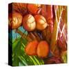 WaterPalm 01-Rick Novak-Stretched Canvas