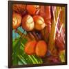 WaterPalm 01-Rick Novak-Framed Art Print