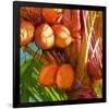 WaterPalm 01-Rick Novak-Framed Art Print