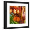 WaterPalm 01-Rick Novak-Framed Art Print