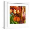 WaterPalm 01-Rick Novak-Framed Art Print