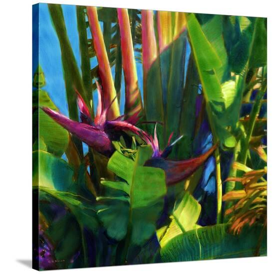 WaterPalm 03-Rick Novak-Stretched Canvas