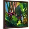 WaterPalm 03-Rick Novak-Framed Art Print