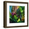 WaterPalm 03-Rick Novak-Framed Art Print