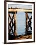 Waterside Beauty I-Gail Peck-Framed Photographic Print