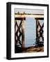Waterside Beauty I-Gail Peck-Framed Photographic Print