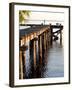 Waterside Beauty II-Gail Peck-Framed Photographic Print