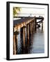 Waterside Beauty II-Gail Peck-Framed Photographic Print