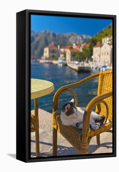 Waterside Cafe and Cat, Perast, Bay of Kotor, UNESCO World Heritage Site, Montenegro, Europe-Alan Copson-Framed Stretched Canvas