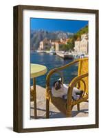 Waterside Cafe and Cat, Perast, Bay of Kotor, UNESCO World Heritage Site, Montenegro, Europe-Alan Copson-Framed Photographic Print