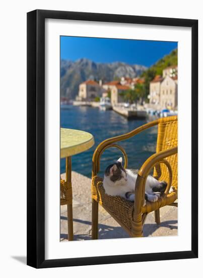 Waterside Cafe and Cat, Perast, Bay of Kotor, UNESCO World Heritage Site, Montenegro, Europe-Alan Copson-Framed Photographic Print