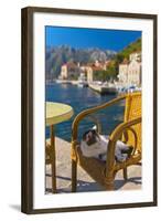 Waterside Cafe and Cat, Perast, Bay of Kotor, UNESCO World Heritage Site, Montenegro, Europe-Alan Copson-Framed Photographic Print