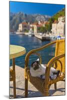 Waterside Cafe and Cat, Perast, Bay of Kotor, UNESCO World Heritage Site, Montenegro, Europe-Alan Copson-Mounted Photographic Print