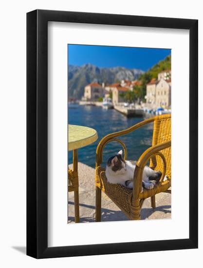 Waterside Cafe and Cat, Perast, Bay of Kotor, UNESCO World Heritage Site, Montenegro, Europe-Alan Copson-Framed Photographic Print