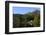 Waterside Cottage, Inveruglas, Loch Lomond, Stirling, Scotland, United Kingdom, Europe-Peter Richardson-Framed Premium Photographic Print