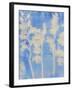 Waterside Dream-Tanuki-Framed Giclee Print