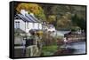 Waterside in Autumn at Knaresborough, North Yorkshire, Yorkshire, England, United Kingdom, Europe-Mark Sunderland-Framed Stretched Canvas