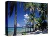 Waterside Restaurant Beneath Palms, Old Man Bay, Grand Cayman, Cayman Islands, West Indies-Ruth Tomlinson-Stretched Canvas