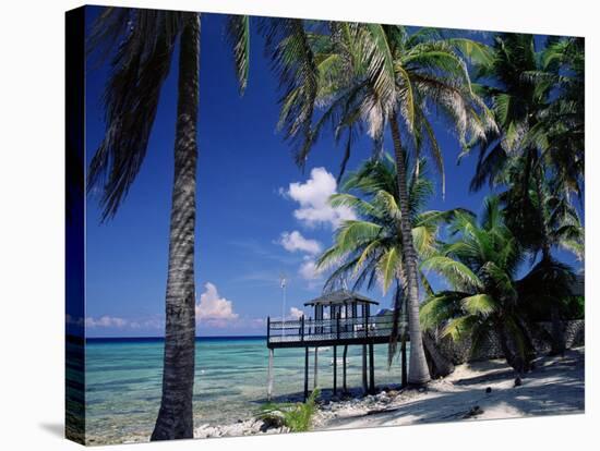 Waterside Restaurant Beneath Palms, Old Man Bay, Grand Cayman, Cayman Islands, West Indies-Ruth Tomlinson-Stretched Canvas