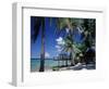 Waterside Restaurant Beneath Palms, Old Man Bay, Grand Cayman, Cayman Islands, West Indies-Ruth Tomlinson-Framed Photographic Print