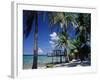 Waterside Restaurant Beneath Palms, Old Man Bay, Grand Cayman, Cayman Islands, West Indies-Ruth Tomlinson-Framed Photographic Print