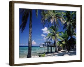 Waterside Restaurant Beneath Palms, Old Man Bay, Grand Cayman, Cayman Islands, West Indies-Ruth Tomlinson-Framed Photographic Print