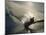 Waterskier Silhouetted with Sun Shining Through Water-null-Mounted Premium Photographic Print