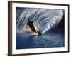 Waterskier with Water Spray-null-Framed Photographic Print