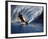 Waterskier with Water Spray-null-Framed Photographic Print