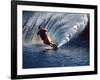 Waterskier with Water Spray-null-Framed Photographic Print