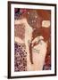 Watersnakes-Gustav Klimt-Framed Premium Giclee Print